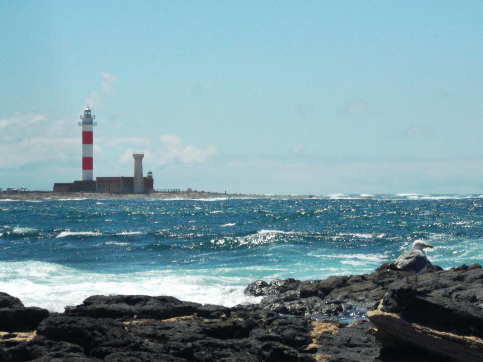 Apartamento Nire Lula En La Misma Playa Cotillo 外观 照片