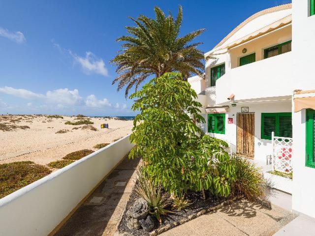 Apartamento Nire Lula En La Misma Playa Cotillo 外观 照片